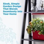 AeroGarden Harvest Lite in Cherry Red, Soil-Free Indoor Hydroponic Garden with LED Grow Light for Year-Round Gardening of up to 6 Herbs and Vegetables - Image 3