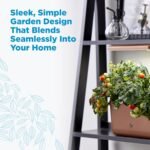 AeroGarden Harvest Lite in Mocha, Soil-Free Indoor Hydroponic Garden with LED Grow Light for Year-Round Gardening of up to 6 Herbs and Vegetables - Image 3