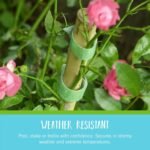 Velcro Brand Adjustable Plant Ties | 75 ft x 1/2 in Green Garden Tape | Reusable, Cut-to-Length Hook & Loop Plant Support for Staking, Training & Organizing Tomatoes, Vines, and Flowers - Image 3