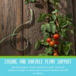 Velcro Brand Adjustable Plant Ties | 75 ft x 1/2 in Green Garden Tape | Reusable, Cut-to-Length Hook & Loop Plant Support for Staking, Training & Organizing Tomatoes, Vines, and Flowers - Image 4