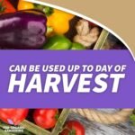 Bonide Captain Jack's Neem Oil, 32 oz Ready-to-Use Spray, Multi-Purpose Fungicide, Insecticide and Miticide for Organic Gardening - Image 3