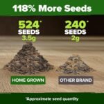 HOME GROWN Zinnia Dahlia Seeds Pack for 2026 Non GMO 524 Flower Seeds | Vibrant Zinnia Elegans for Pollinator Gardens, Borders & Containers | Easy-to-Grow Outdoor Blooms - Image 3