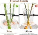 Plant Propagation Station with Wood Stand, Propagation Vases for Plants, Terrarium Kit for Home Office Garden Decor, Gifts for Plant Lovers - 4 Bulb Glass Vases - Image 3