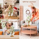 Plant Propagation Station with Wood Stand, Propagation Vases for Plants, Terrarium Kit for Home Office Garden Decor, Gifts for Plant Lovers - 4 Bulb Glass Vases - Image 5