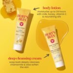 Burt's Bees Gift Ideas - Essentials Everyday Set, 5 Travel Size Products - Deep Cleansing Cream, Hand Salve, Body Lotion, Foot Cream and Original Lip Balm - Image 5
