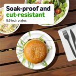 Amazon Basics Everyday Paper Plates, 8.62 Inch, Disposable, 200 Count, Packaging May Vary - Image 3