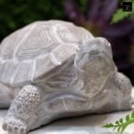 Modern Small Standing Turtle Figurine, Unique Cement Figurines, Handcrafted Decorative Washed Concrete Finish White Sculpture for Home, Garden,Office: 12.50"x9.00"x5.75"H - Image 6