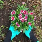 Claw Gardening Gloves for Planting, Garden Glove Claws for Women - Image 2