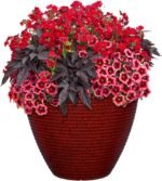 Classic Home and Garden Cali Modern Round Resin Planter for Indoor Outdoor Plants (13" Lava Red) - Image 3