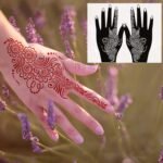 14 Sheets Henna Hands Tattoo Stencil Kit,Temporary Tattoos Stencil Stickers for Women and Girls Indian Arabian Realistic Tattoo Templates - Image 5