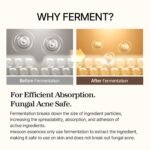 mixsoon Bean Essence-Exfoliating, Hydrating, Fermented Bean Extract, Gentle Formula for Smooth Skin 30ml / 1.01 fl.oz. Korean Glass Skin Care - Image 4