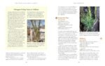 The Home-Scale Forest Garden: How to Plan, Plant, and Tend a Resilient Edible Landscape - Image 5