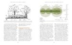 The Home-Scale Forest Garden: How to Plan, Plant, and Tend a Resilient Edible Landscape - Image 6