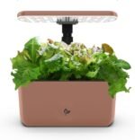 AeroGarden Harvest Lite in Mocha, Soil-Free Indoor Hydroponic Garden with LED Grow Light for Year-Round Gardening of up to 6 Herbs and Vegetables