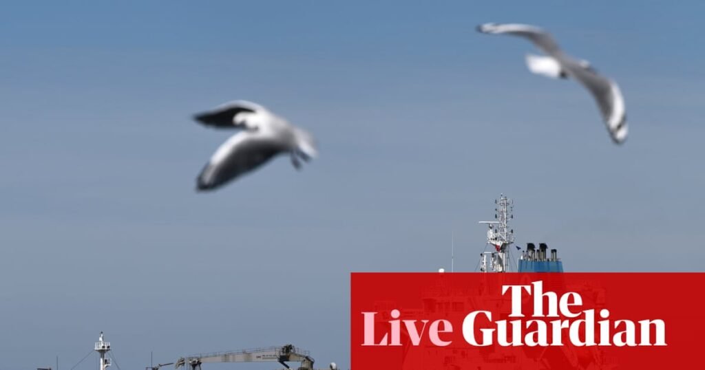 Australia news live: six out of 81 fuel shipments cancelled since start of Iran war, Bowen says; Tropical Cyclone Narelle crosses NT coast as category three system | Australia news