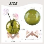 Ball-Shaped Plant Propagation Station with Wooden Stand -Glass Plant Terrarium for Home Office Kitchen Garden Decor, Plant Cuttings & Hydroponics – 3.9", Clear - Image 2