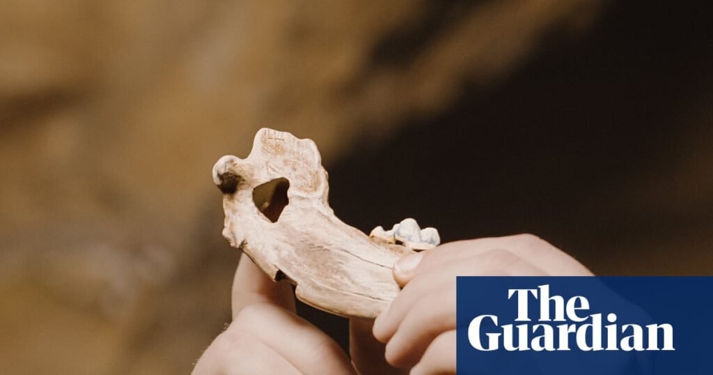 Bond between dogs and humans dates back more than 15,000 years, study finds | Animal behaviour
