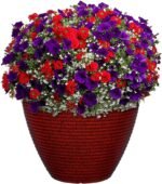 Classic Home and Garden Cali Modern Round Resin Planter for Indoor Outdoor Plants (13" Lava Red) - Image 2