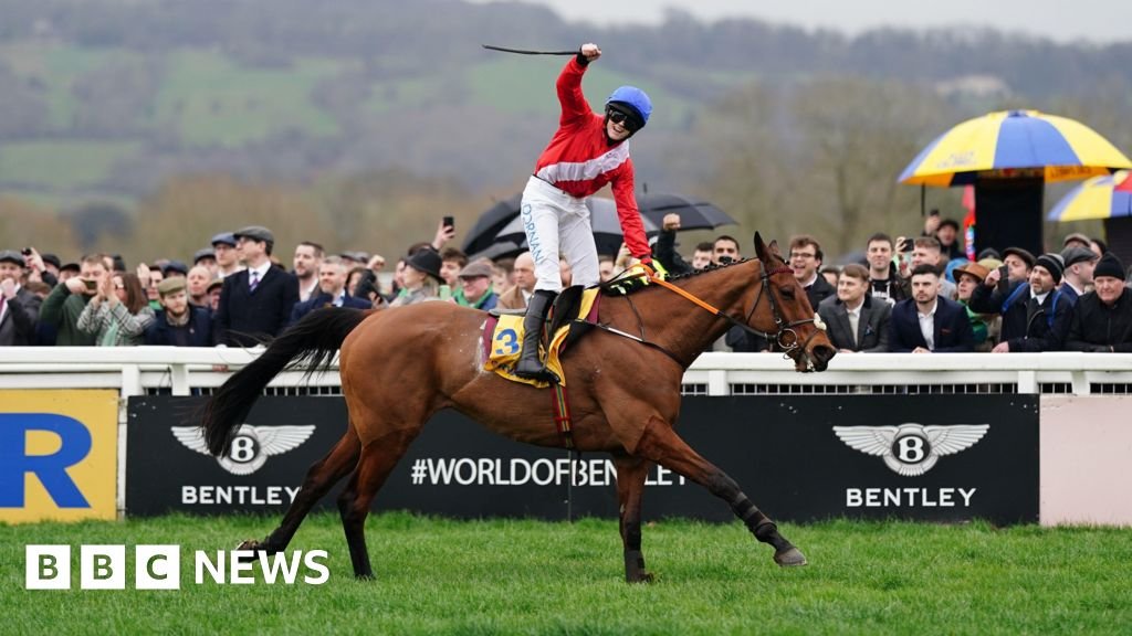 Fourth horse dies at Cheltenham on final day of races
