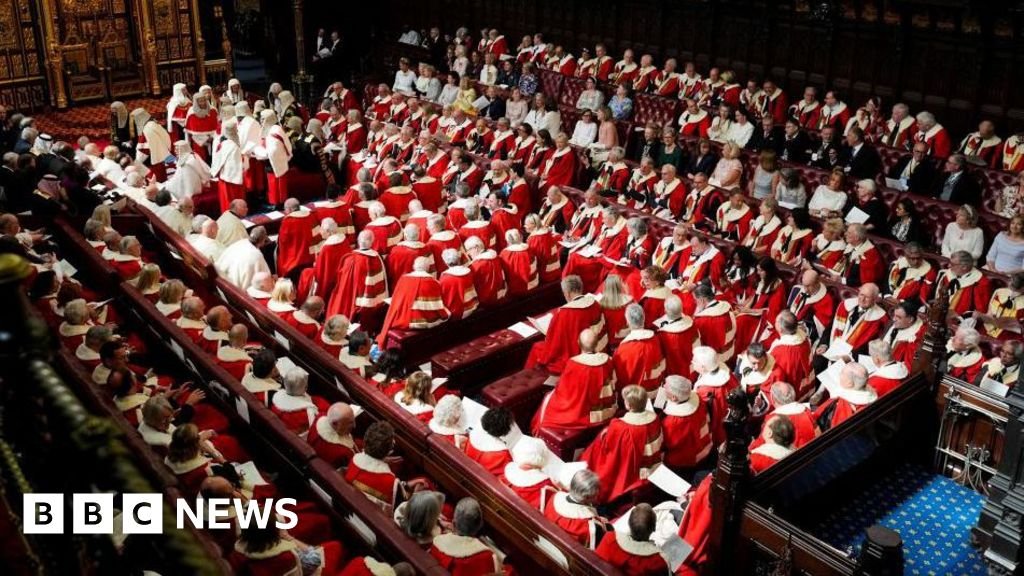 Hereditary peers to be removed from Lords as bill passes