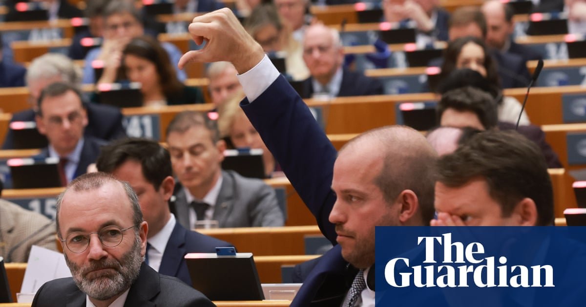 MEPs back plans for ‘return hubs’, raising fears of ‘human rights black holes’ | European Union