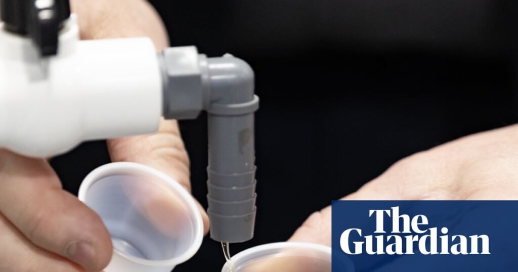 Alleged maple syrup scam in Quebec uncovered by Canadian broadcaster | Quebec