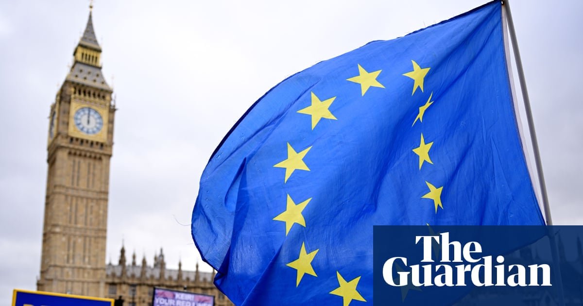 Britain should seek to rejoin EU, says civil servant who led Brexit department | Brexit