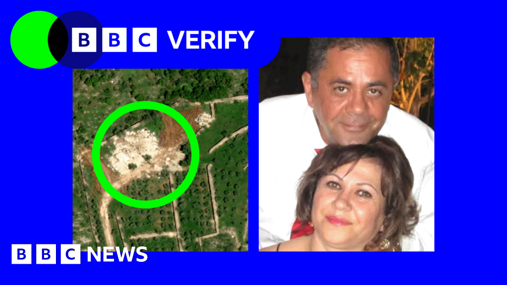 Couple discovers Lebanon home destroyed by Israel from satellite image