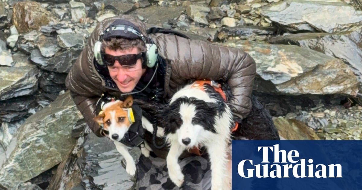 Molly the border collie rescued after a week waiting for injured owner in New Zealand’s remote backcountry | New Zealand
