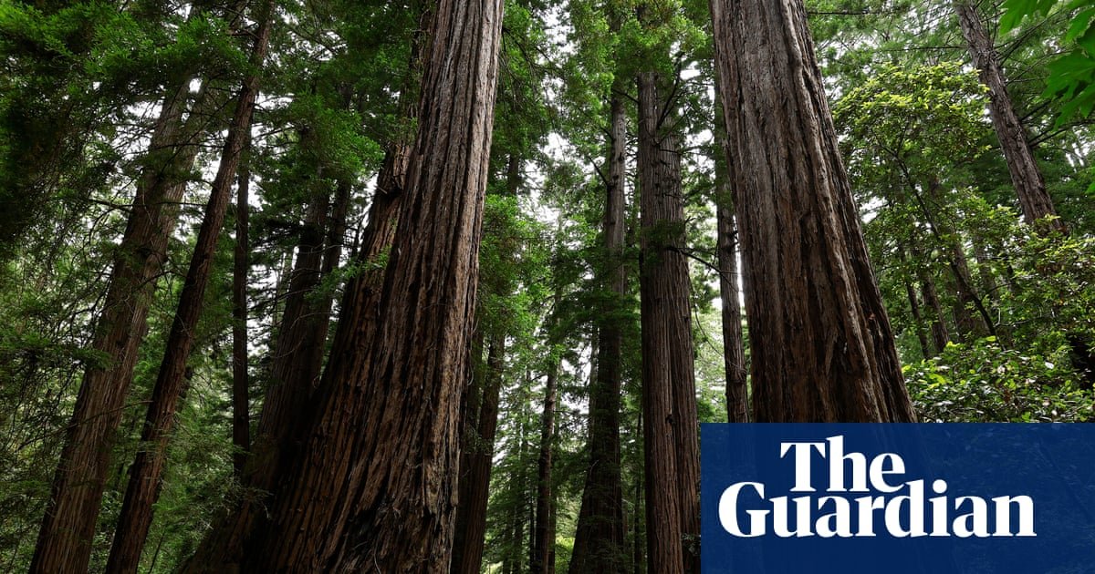 US Forest Service to move headquarters from Washington DC to Salt Lake City | Trump administration