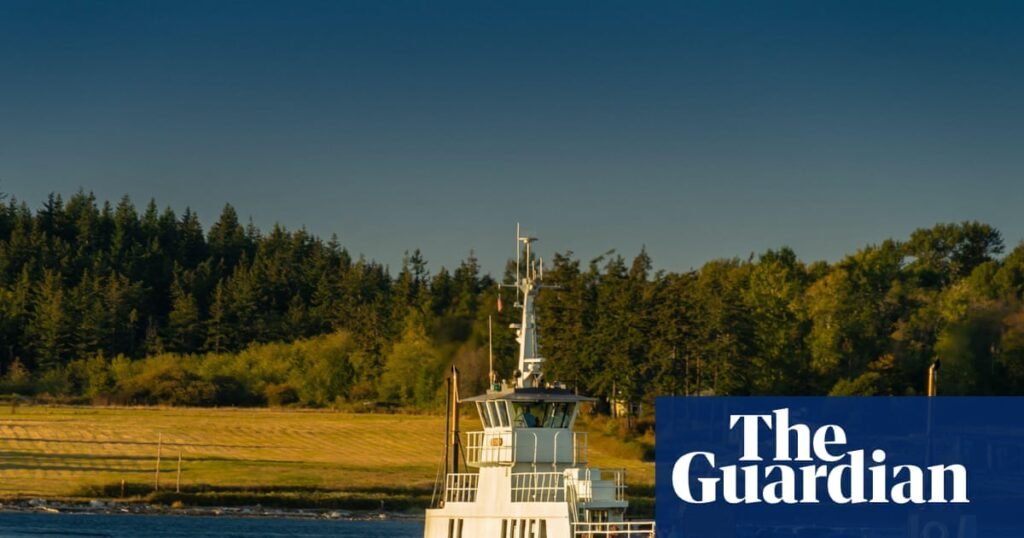 Washington officials say 21 dead canines that washed ashore were foxes, solving local mystery | Washington state