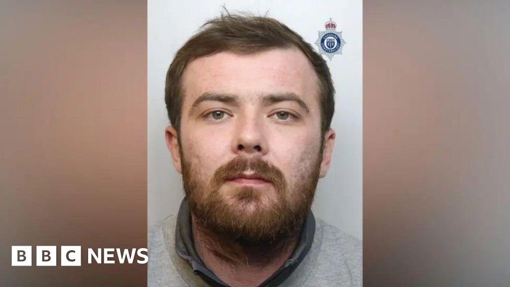 XL bully owner jailed after man, 84, 'savaged'