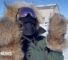 How we reported in -30C temperatures in Canada's Arctic