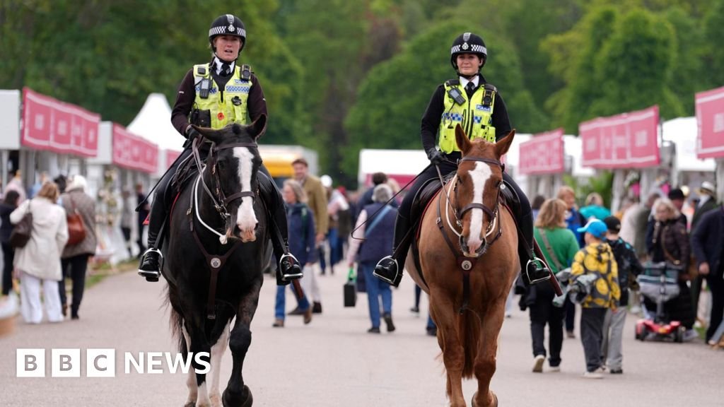 Soldier dies after falling from horse at Royal Windsor Horse Show