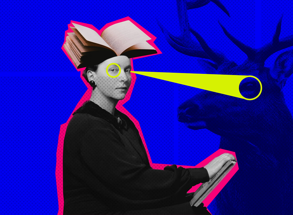 A surreal collage-style illustration of a woman reading at a keyboard with an open book floating above her head. A bright yellow beam extends from her eye toward a deer in the background. The image uses deep blue tones with vivid pink outlines and a textured, high-contrast graphic style.