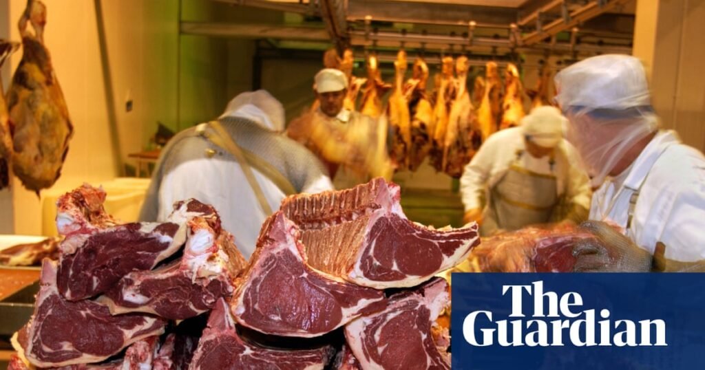 UK pitched single market for goods with EU, as it pursues deeper trade ties | Brexit