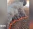 Wildfire tears through hundreds of acres in Arizona