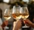 Three glasses of wine with ice in hands, toasting at garden party
