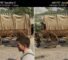 AMD FSR Upscaling 4.1 Officially Released for Radeon RX 7000 GPUs