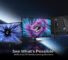 Gigabyte Introduces the AORUS ELITE Series Gaming Monitors with OLED or Mini LED Panels