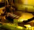 Nvidia tools for TSMC processes
