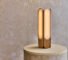 Hollis+Morris’ Beaufort Lighting Draws From Arctic Ice