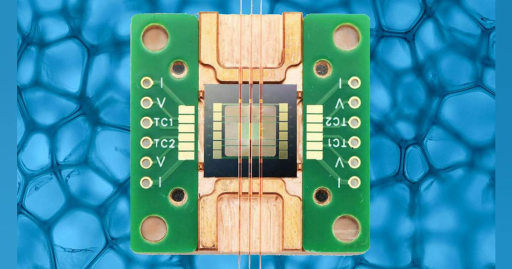 Measuring Thermal Picowatts in Biological Processes