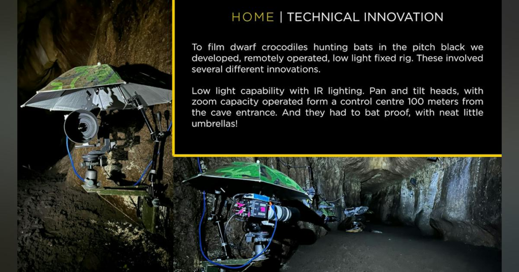 Custom Robotics Capture New Animals and Behavior on Earth’s Wild Home