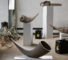 Dutch Design Week 2026: 11 Standout Projects