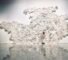 Jae Ko’s Paper Sculptures Explore Color, Form, and Nature